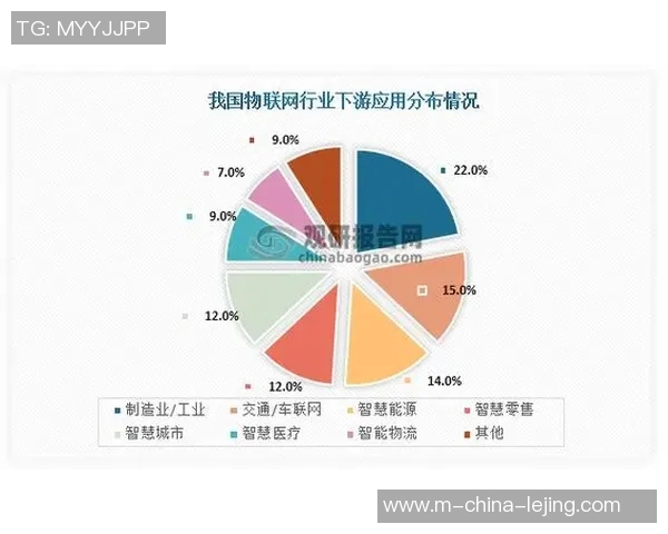 CBB篮球明星的崛起与挑战揭秘他们的职业生涯与未来发展方向